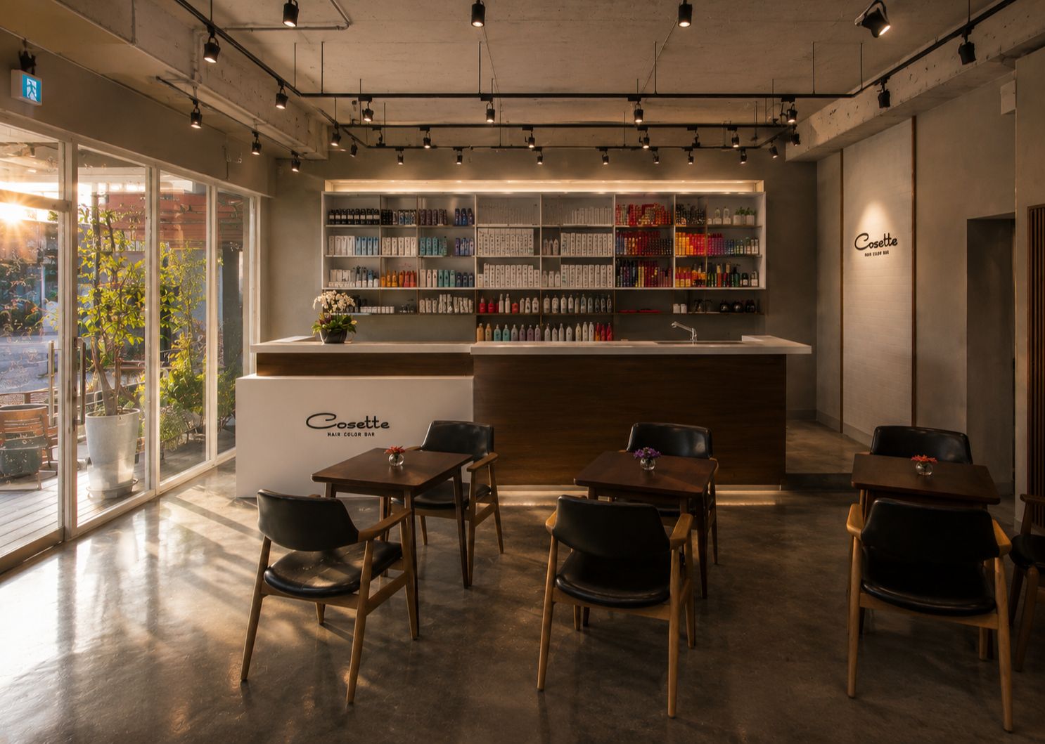 COSETTE HAIR & COLOR interior project image 2